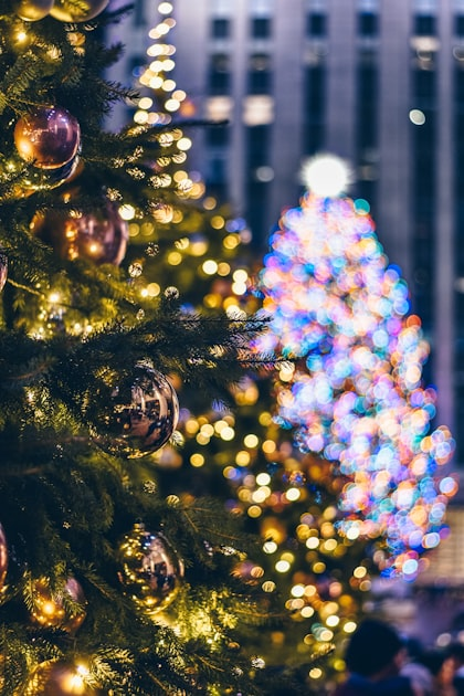 Residential Christmas Lighting Ideas