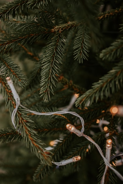 Safety in Holiday Lighting