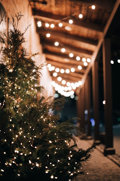 Elevate Your Holiday Spirit
